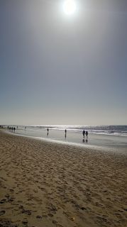 GC-Playa de Maspalomas 2026-055.jpg